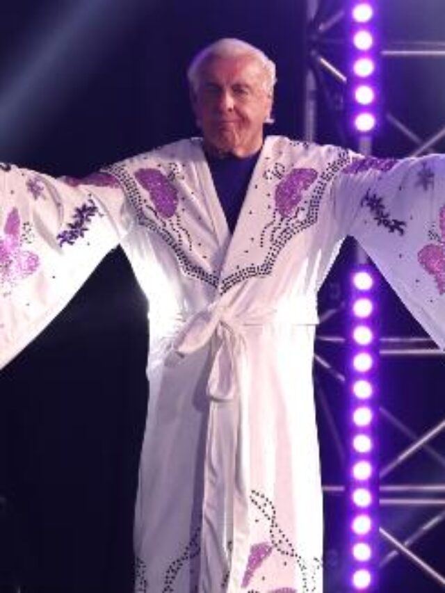 Who won Ric Flair’s Last WWE Match?